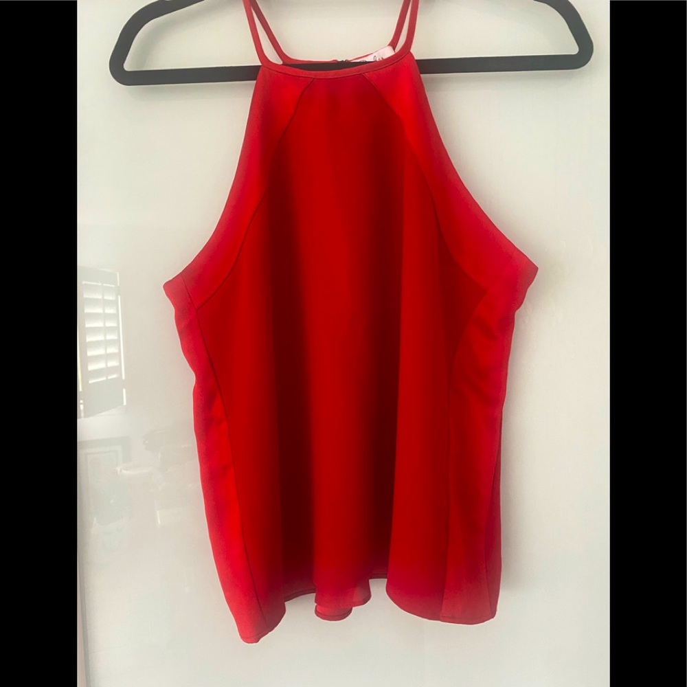NWOT Stunning Parker halter top. Never worn. Sexy and sweet.